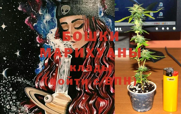 круглые Бородино