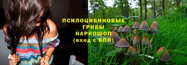 круглые Бородино