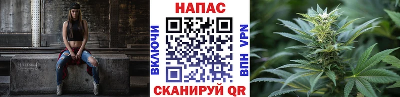 Купить где  Магас  Каннабис Bruce Banner 
